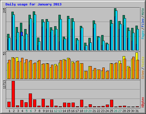 Daily usage for January 2013