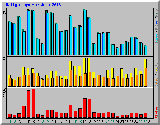 Daily usage for June 2013