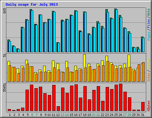 Daily usage for July 2013