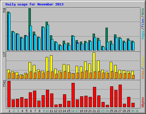 Daily usage for November 2013