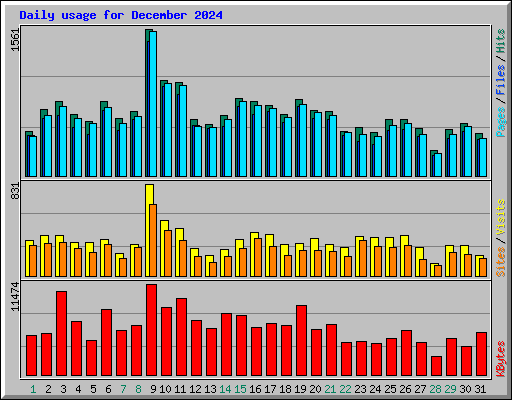 Daily usage for December 2024