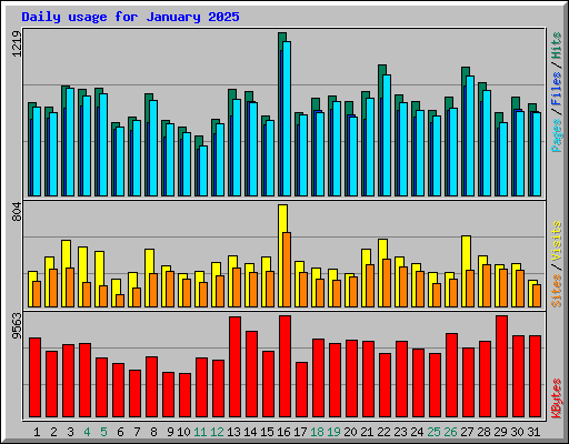 Daily usage for January 2025