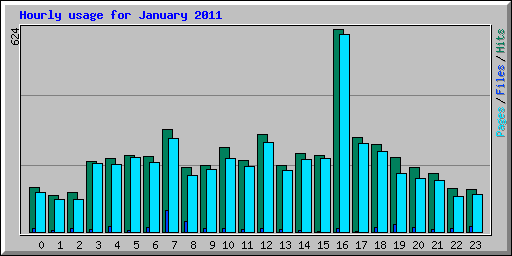 Hourly usage for January 2011