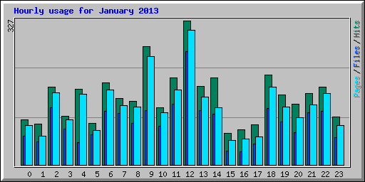 Hourly usage for January 2013