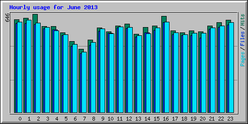 Hourly usage for June 2013