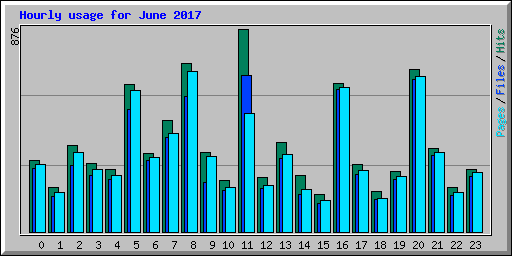 Hourly usage for June 2017