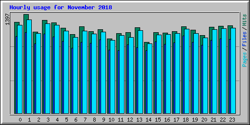 Hourly usage for November 2018