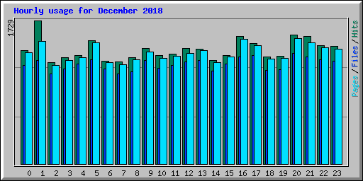 Hourly usage for December 2018