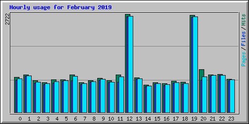 Hourly usage for February 2019