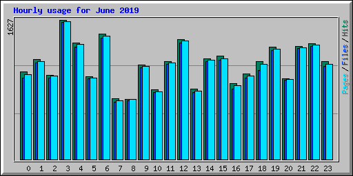 Hourly usage for June 2019