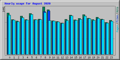 Hourly usage for August 2020