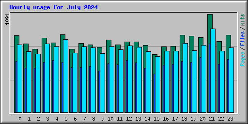 Hourly usage for July 2024