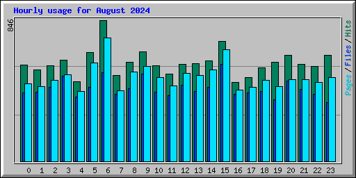 Hourly usage for August 2024