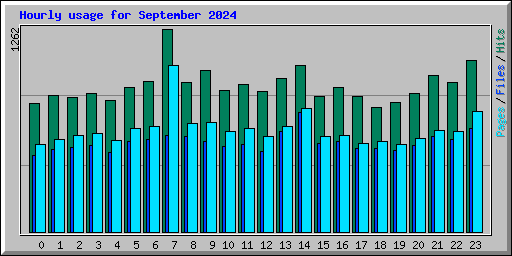 Hourly usage for September 2024