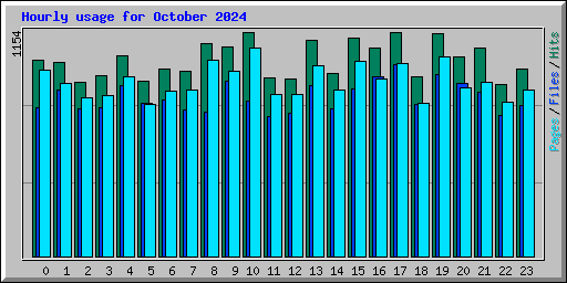Hourly usage for October 2024