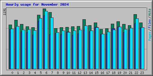 Hourly usage for November 2024