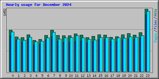 Hourly usage for December 2024