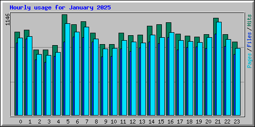 Hourly usage for January 2025