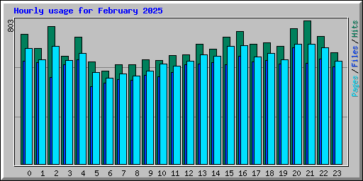 Hourly usage for February 2025