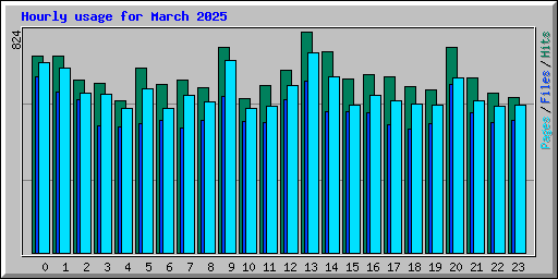 Hourly usage for March 2025