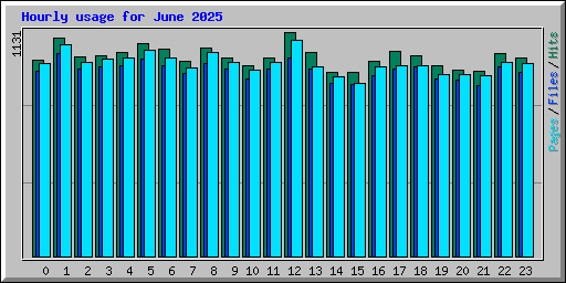 Hourly usage for June 2025