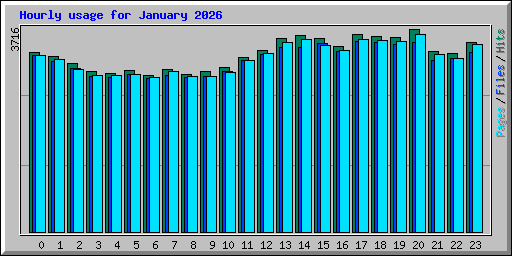 Hourly usage for January 2026